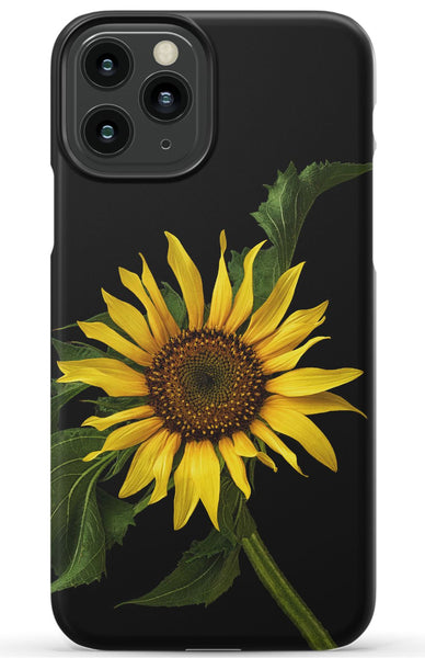 Scraggly Sunflower Phone Case