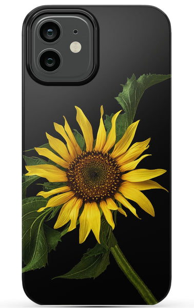 Scraggly Sunflower Phone Case