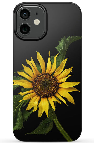 Scraggly Sunflower Phone Case