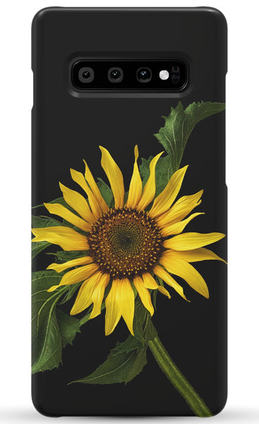 Scraggly Sunflower Phone Case