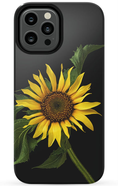 Scraggly Sunflower Phone Case