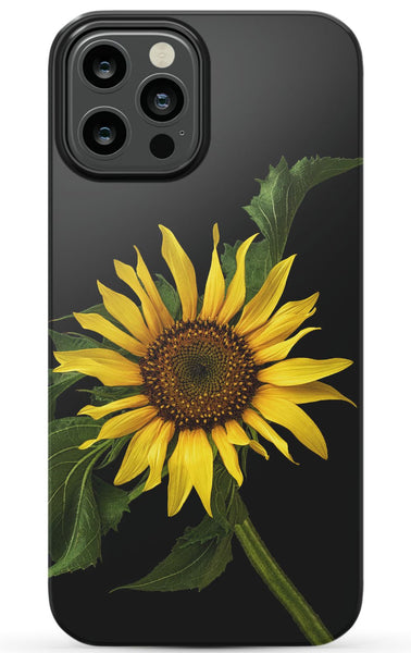 Scraggly Sunflower Phone Case