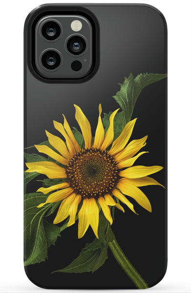 Scraggly Sunflower Phone Case