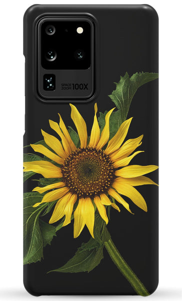 Scraggly Sunflower Phone Case