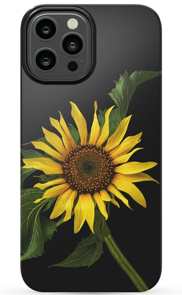Scraggly Sunflower Phone Case